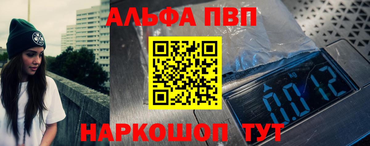 Alfa_PVP СК Алейск